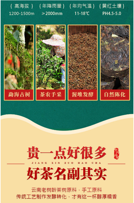 高级糯米香普洱红茶