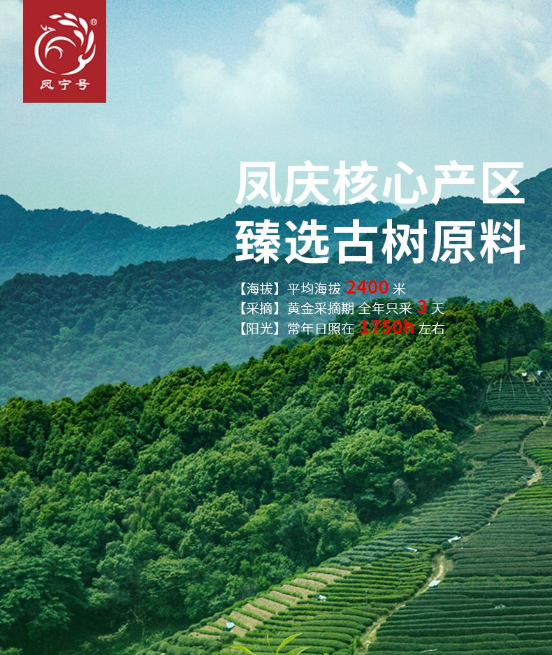 Fengning Yunnan Red Tea special grade Pu 'er tea