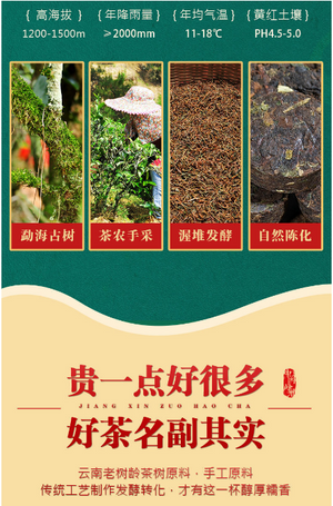 高级糯米香普洱红茶